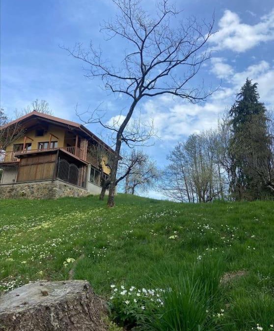 Graglia Ski Chalet | Il nocciòlo di Daisy