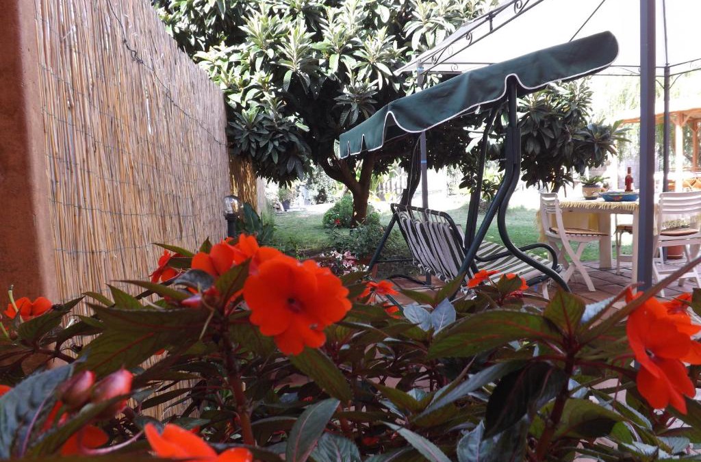 Alghero House | IL Noce ALGHERO