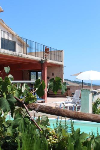Monterubbiano Bed & Breakfast | Il Piccolo Carro Apartments