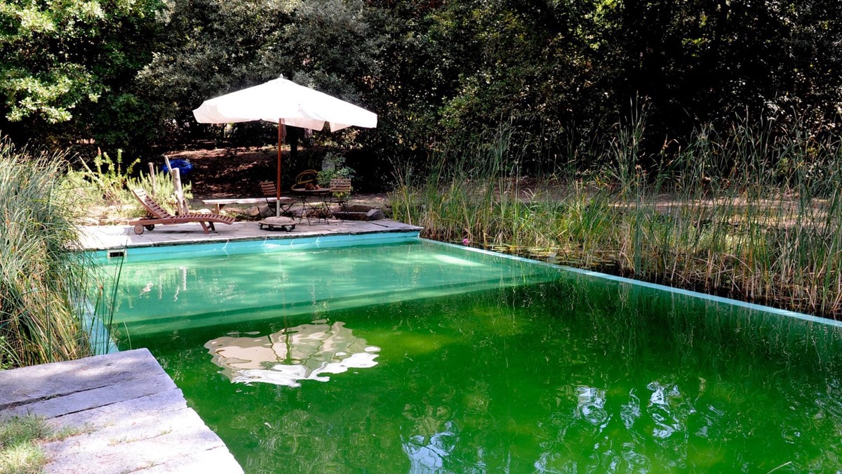 Scandicci Bed & Breakfast | Il Poggio B&B
