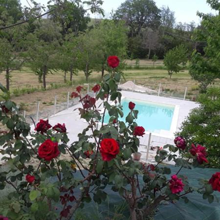 Bettolelle Bed & Breakfast | Il Rifugio dell'Ape Agriturismo