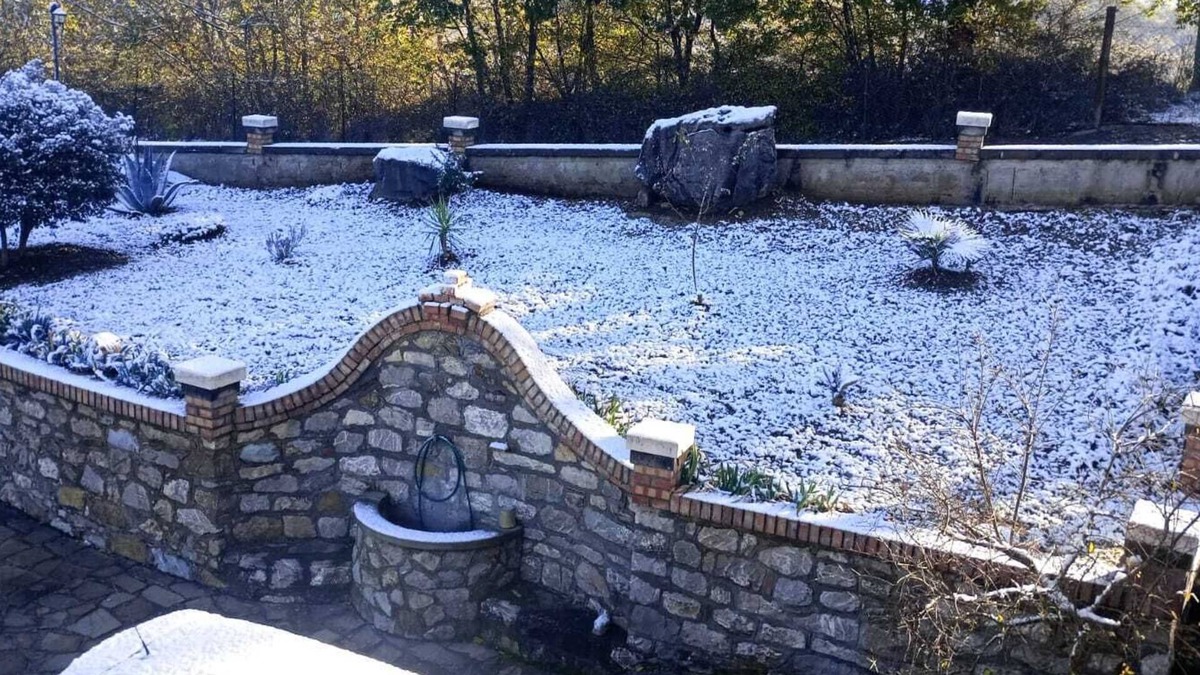 Tito House | Il Sottobosco