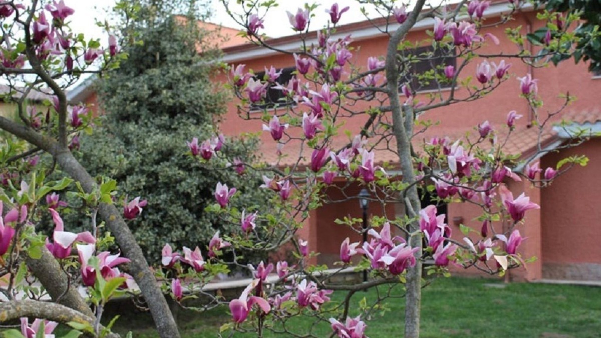 Colle Spina Bed & Breakfast | Il Sottosopra B&B