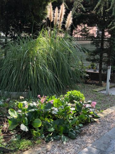San Leonardo Bed & Breakfast | Il villino della duchessa