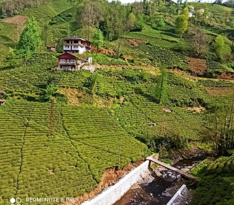 Rize Apartment | ilknur ve muhammet in yeri 2