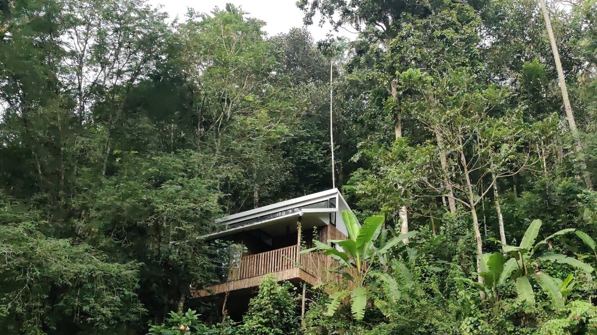 Kunchithanny Other | IlliVilla Bamboo claded single room cottage inside Organic Spices Farm in Munnar