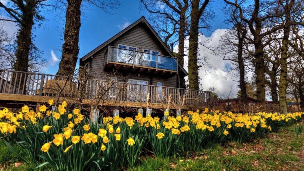 Kenwick House | iLodge Ultra - Luxury Log Cabin with Hot Tub, Sauna and Games Room🏡