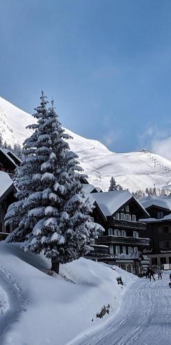 Bettmeralp House | Imhof Alpine B&B Apartments