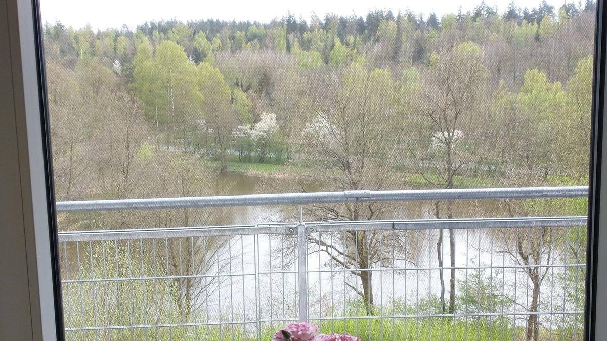 Ziebach Apartment | Immensee III Apartment with lake view surrounded by forest