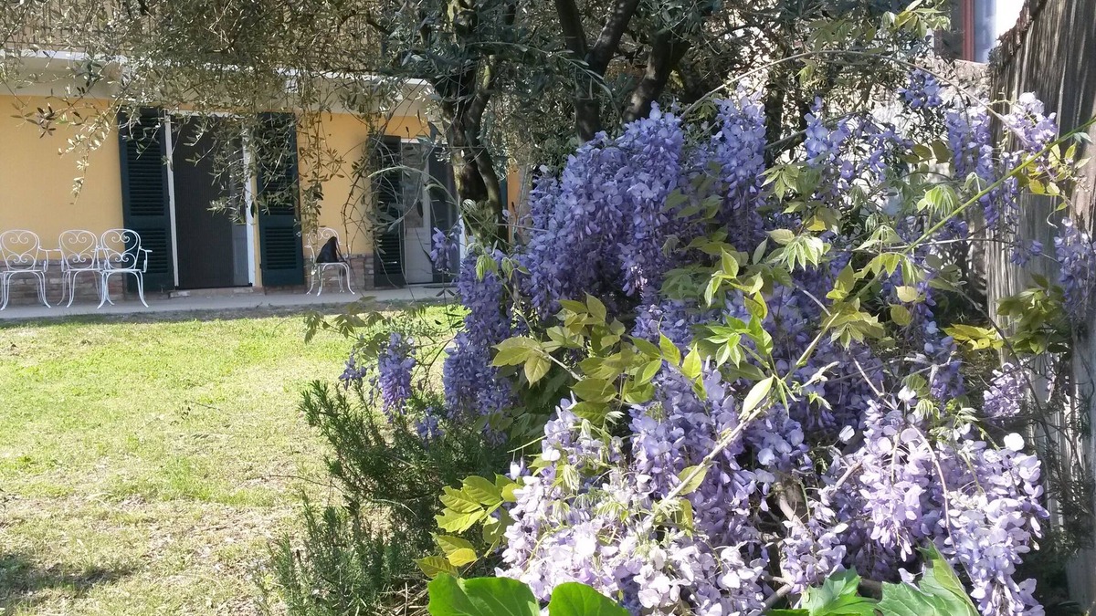 Casalborgone House | Immersed in the green relaxation of an authentic farmhouse and convenient to services