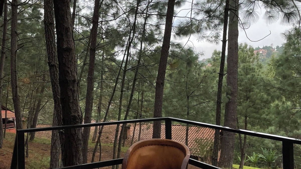 Mazamitla Cabin | Immersed in the Mazamitla Forest.
