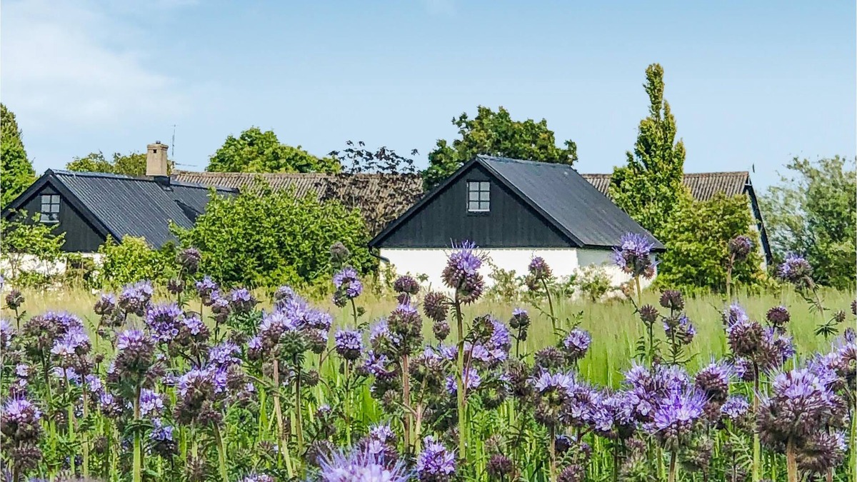 Kopingebro House | In an idyllic location in the Skåne countryside, this charming vacation home welcomes you.