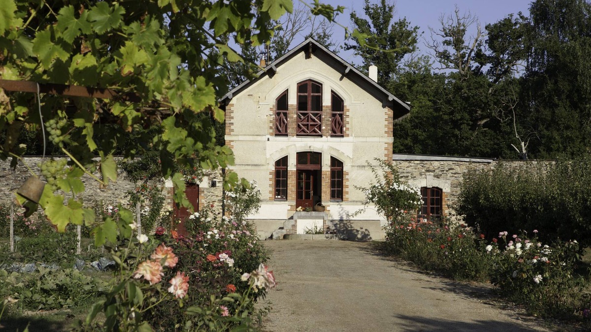 Marans House | In Anjou in the castle vegetable garden, Peace, flower and vegetable