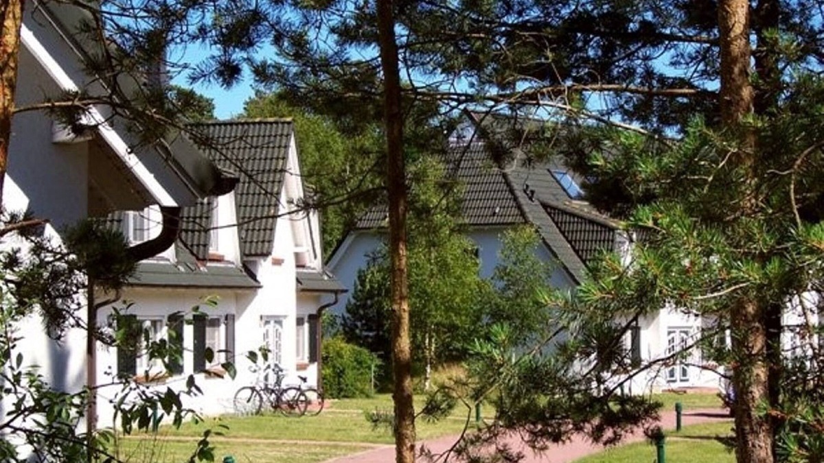Neuhaus Apartment | In Einem Küstenwald Direkt an der Ostsee
