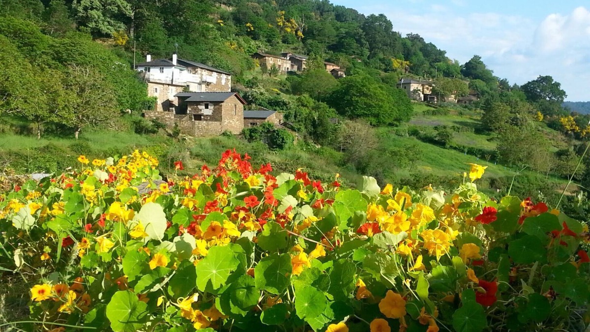 Panton House | In full Ribeira Sacra *