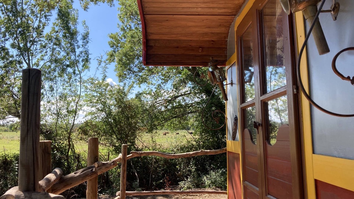 Arles Cabin | In the heart of a Manade