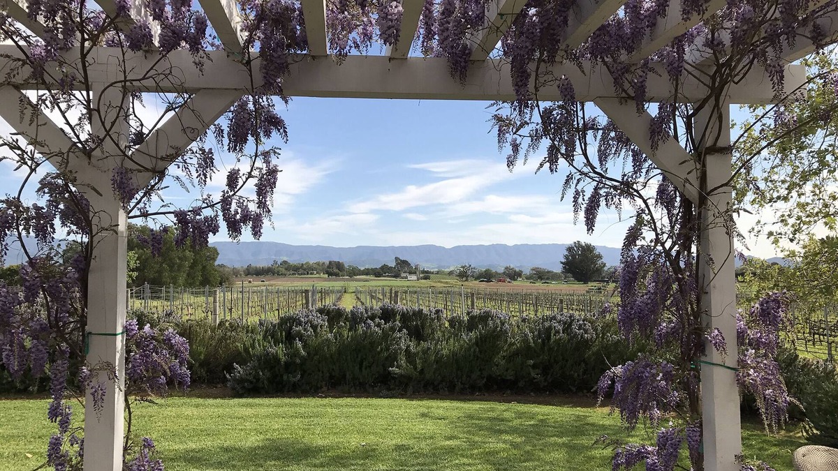 Solvang Cottage | In the Heart of Los Olivos- Luxury Wine Country- on our Vineyard!