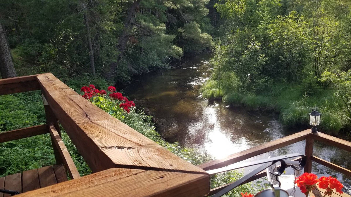 Atlanta Cabin | In the heart of Michigan's Elk Country...on the bank of Crooked Creek & 20 acres