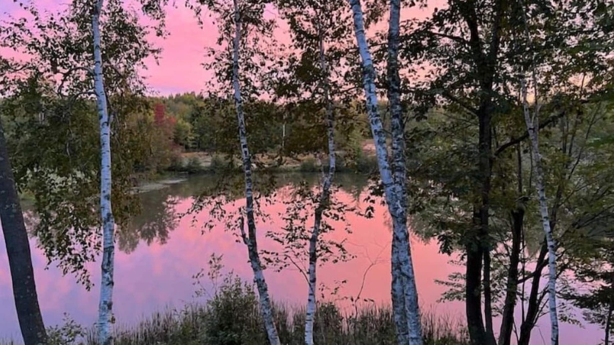 Holcombe Cabin | In the heart of nature! Romantic getaway!