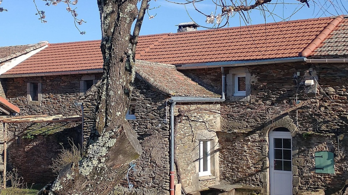 Senechas Other | In the heart of the Cévennes, gîte la Treille du Mesous