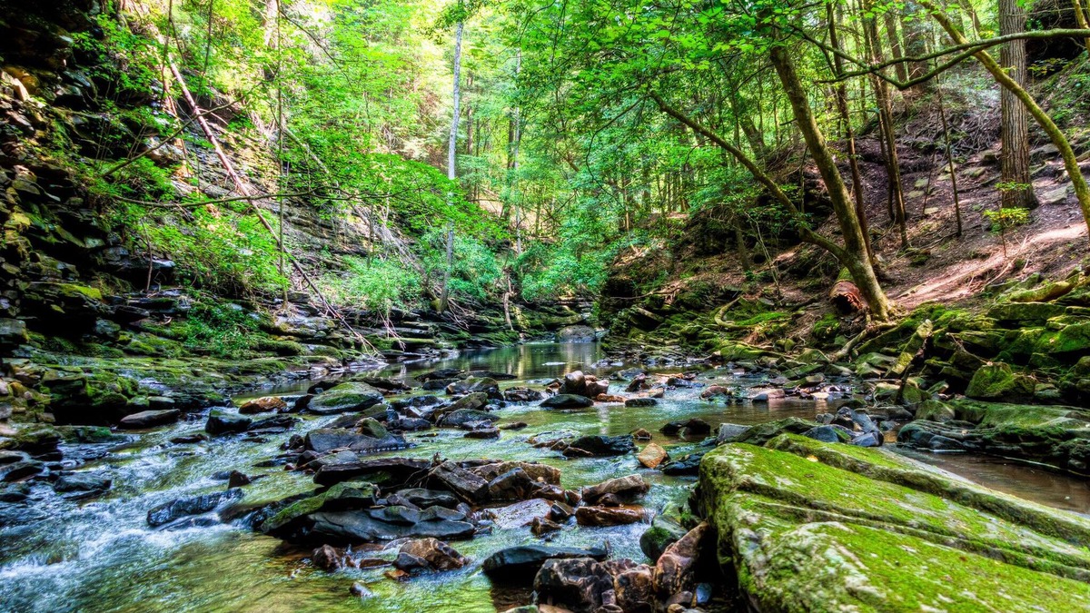 Monteagle House | In The Pines -Bluff View in Monteagle!