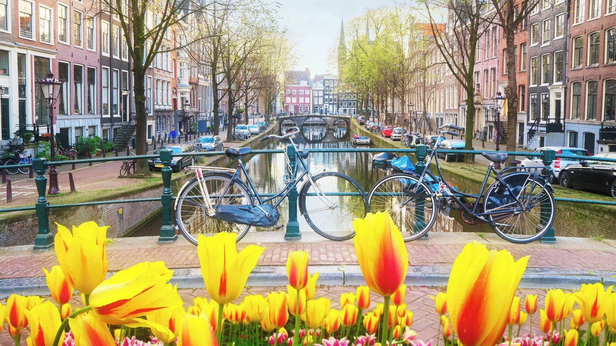 Museum Quarter Apartment | In the tree lined streets of Amsterdam-A stones throw from Vondelpark