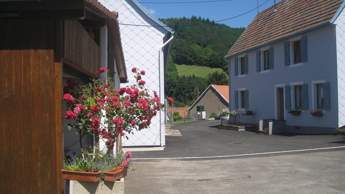 Lapoutroie Apartment | in the village of Lapoutroie 10 km from Kaysersberg