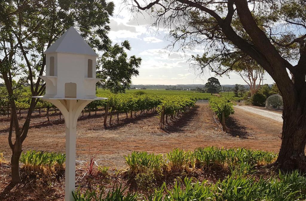 Penrice Apartment | 'In The Vines' Guest Cottage, Barossa Valley