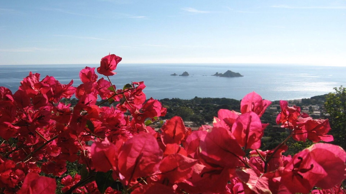 Santa Maria Navarrese Apartment | Independent apartment 700 meters from the sea with panoramic views