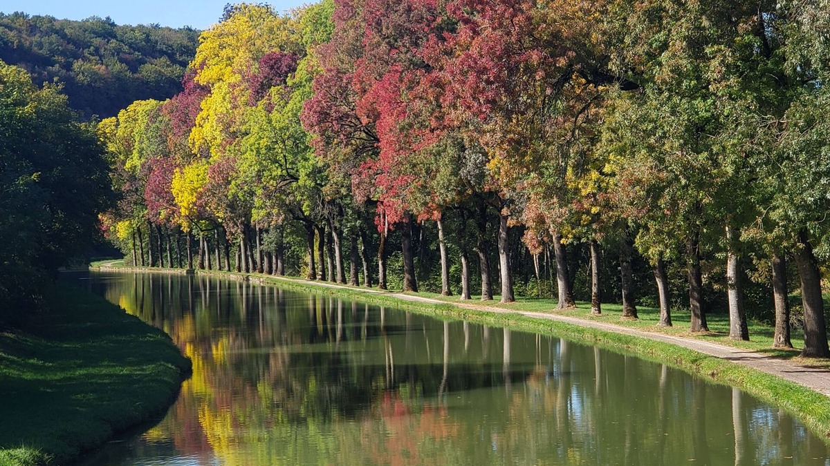 Colombier Apartment | Independent appartment in Auberge café/bar/restaurant nPort Canal de Bourgogne
