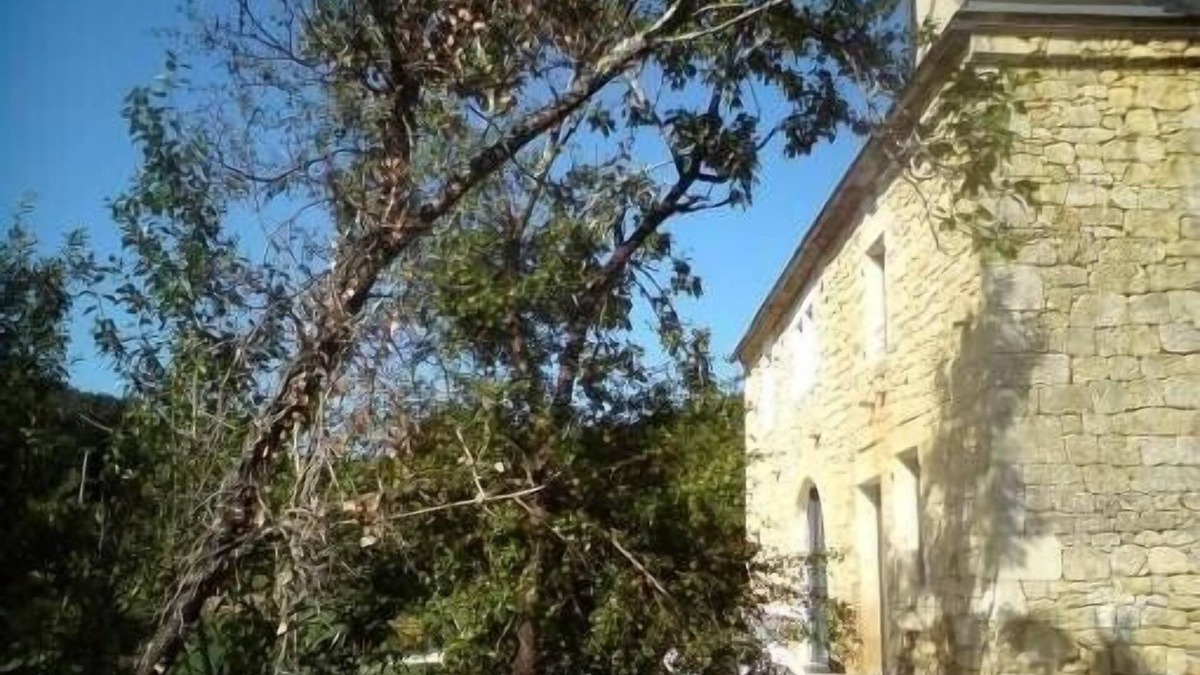 Salignac-Eyvignes House | Independent cottage, quiet countryside, near black Périgord Lot and Corrèze