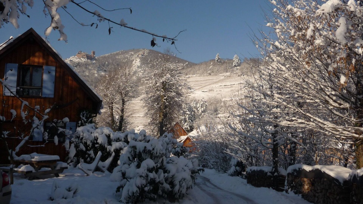 Ribeauville House | Independent lodging in a huge private park in Ribeauville