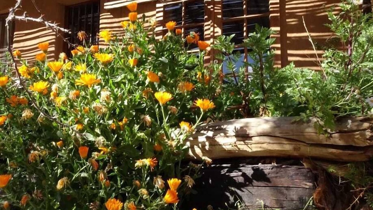 Paiguano Cabin | IndomitoElqui