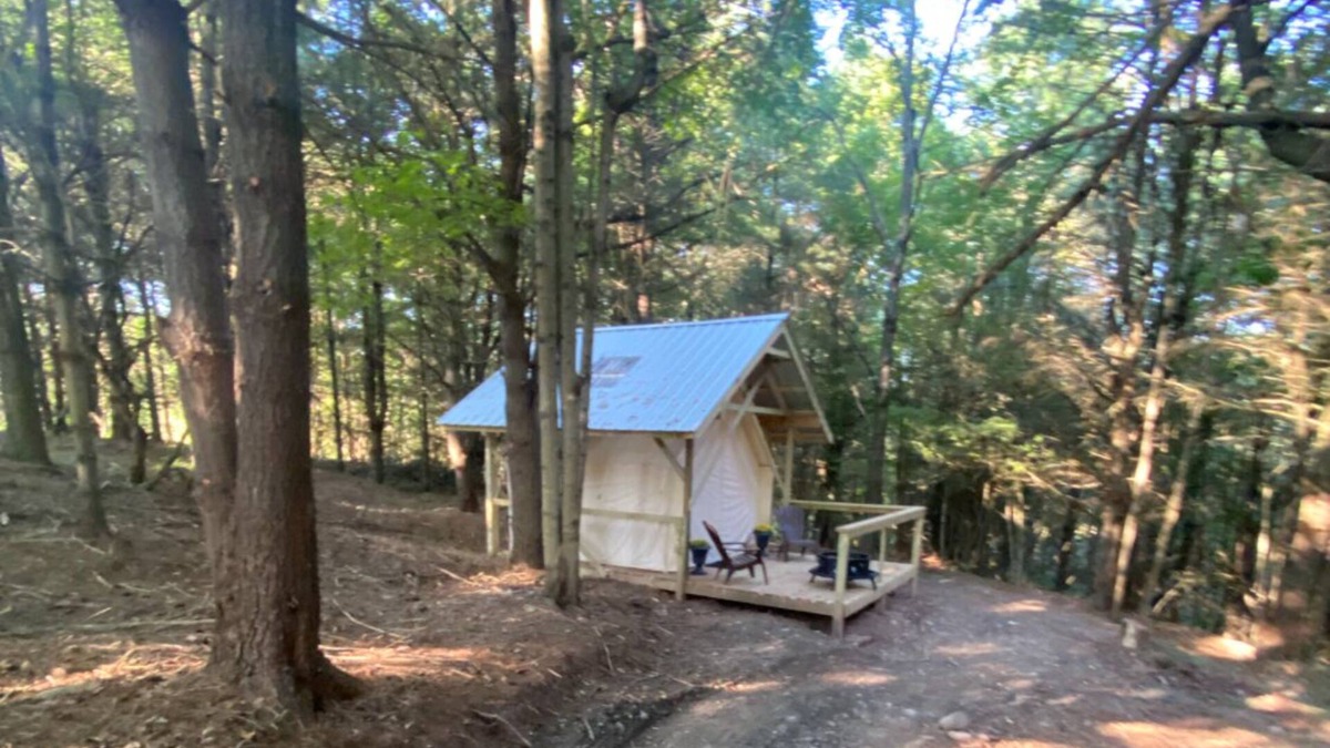 Otego Cabin | Indulge in our Forest Retreat