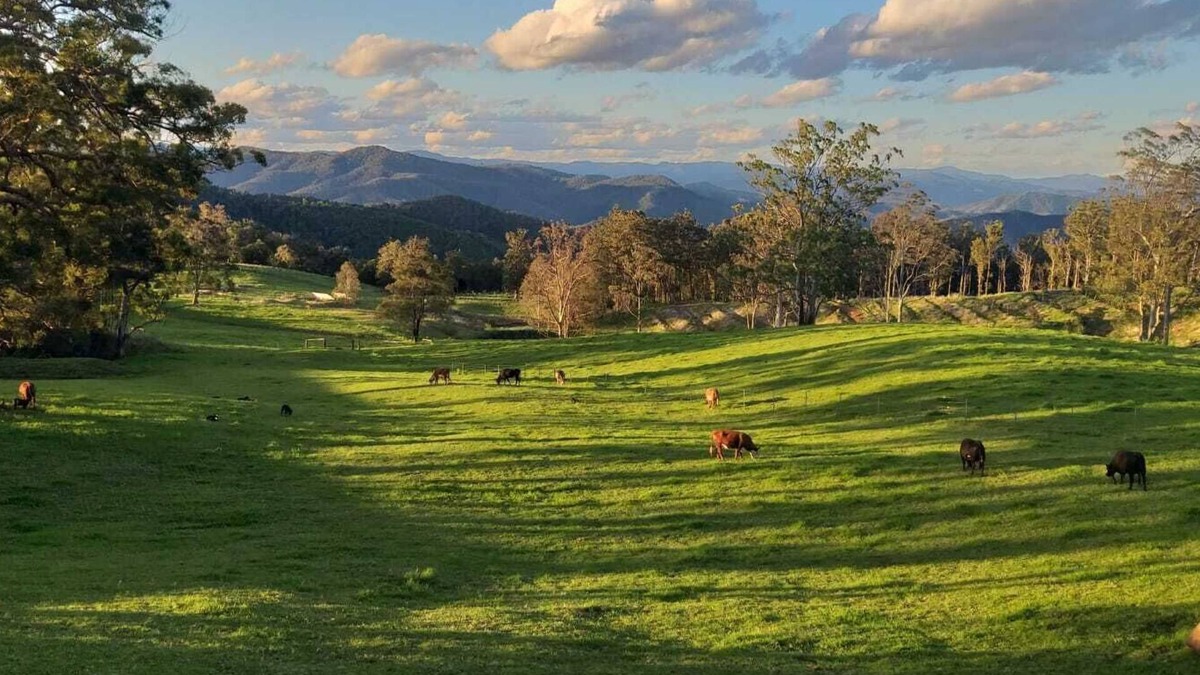 Innes View Cottage | 'Infinity Cottage' - surrounded by orchards, pasture, bush and mountains