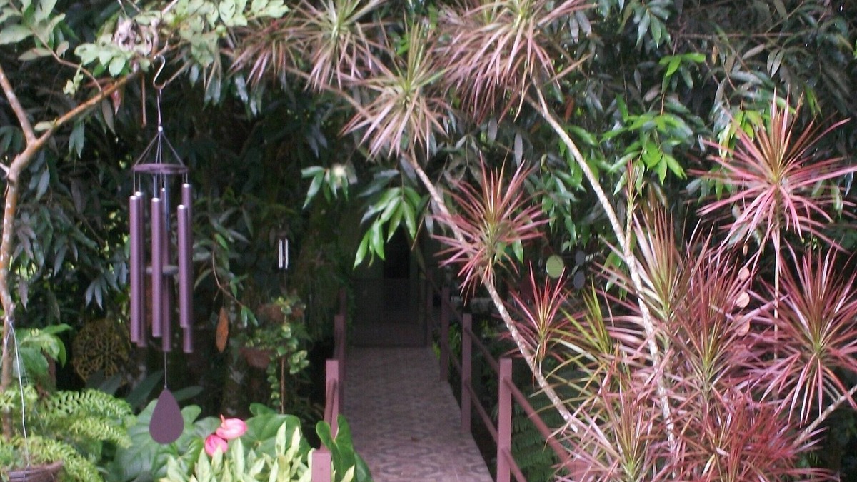 Aguas Zarcas House | Inlakech: Tropical, Magical & Charm