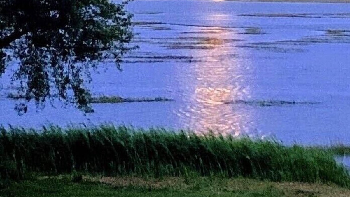 Murrells Inlet House | INLET SUNRISE MILLION DOLLAR VIEW! MARSH FRONT