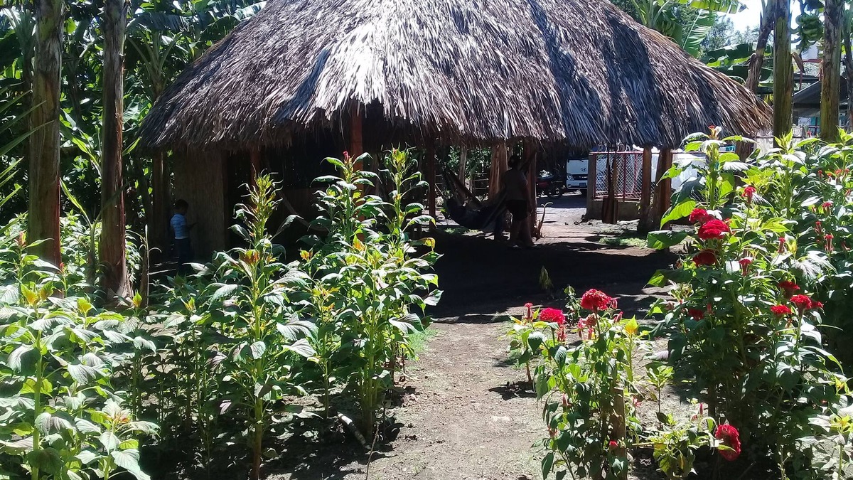 Ometepe Island Hotel | Inn Hospedaje BullShark