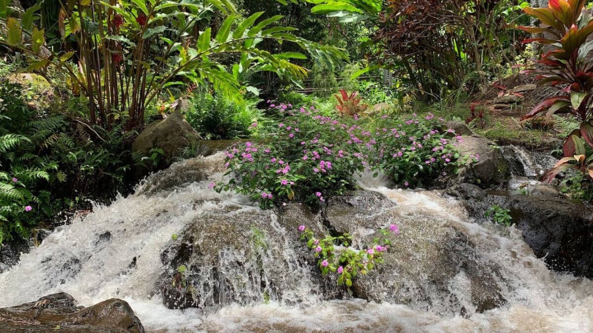 Kukuihaele Apartment | Inspired 1-BR, Magic Gardens, Stream and Waterfall