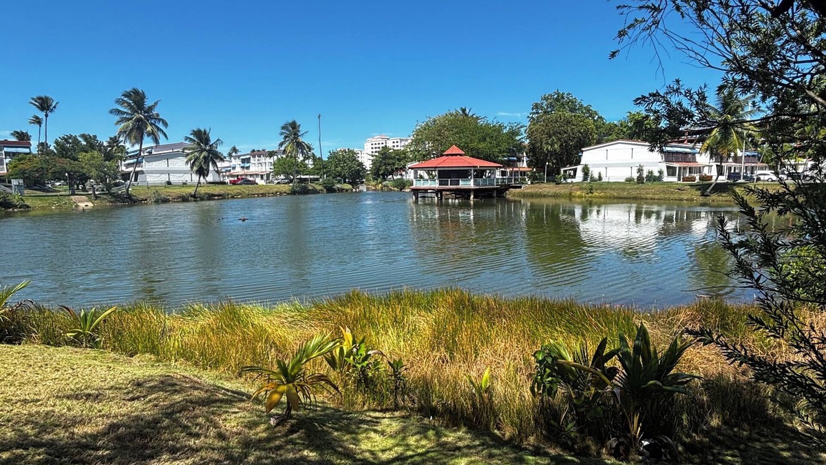 Dorado del Mar Apartment | Instant Villa - Dorado Cautus