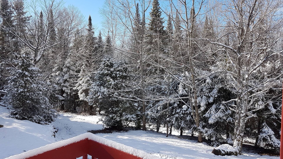 Entrelacs Ski Chalet | Intimate 4 season chalet in Lanaudière Quebec WIFI FIREPLACE terrain privé + lac