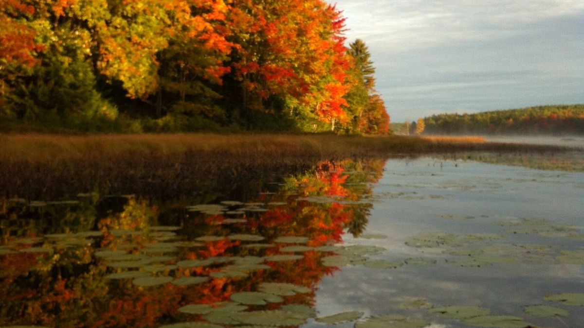 Mariaville Cottage | Intimate cottage near Acadia national park
