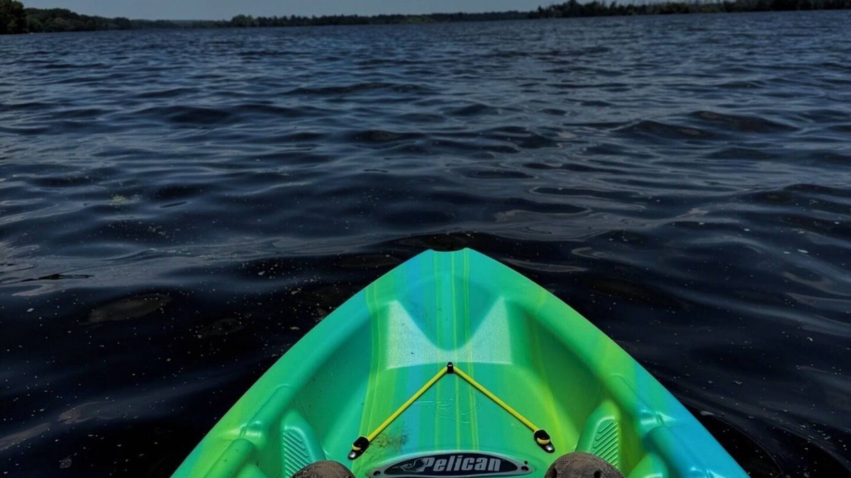 Yarmouth Cabin | Iowa Cabin: Rustic+Cozy. Lake Odessa water-view. Hunt, kayak, fish or explore.