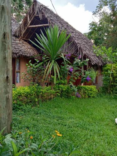Lushoto Bed & Breakfast | Irente Kinyonga Cottage