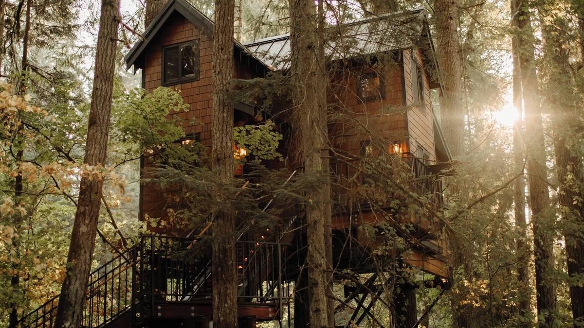 Ashford Apartment | Iron & Vine Treehouse at Mount Rainier