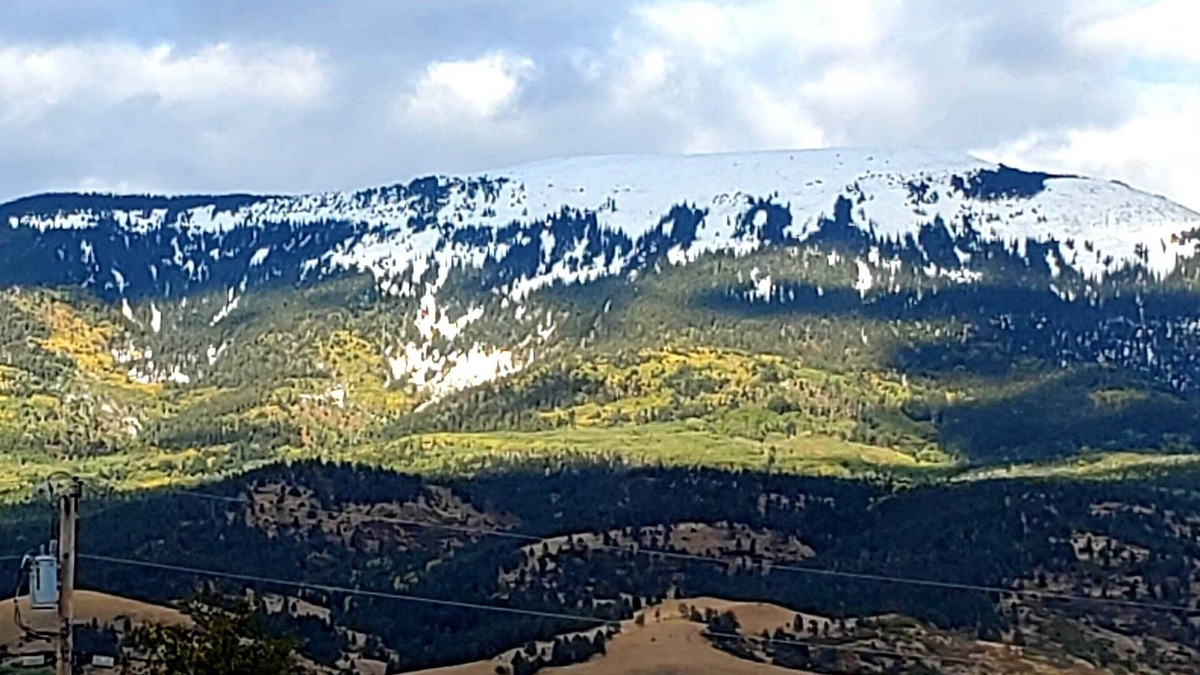 Eagle Nest House | Iron Wolf nestled in the Sangre de Cristo Mtns...Ski/Hike/Fish/Hunt Casita