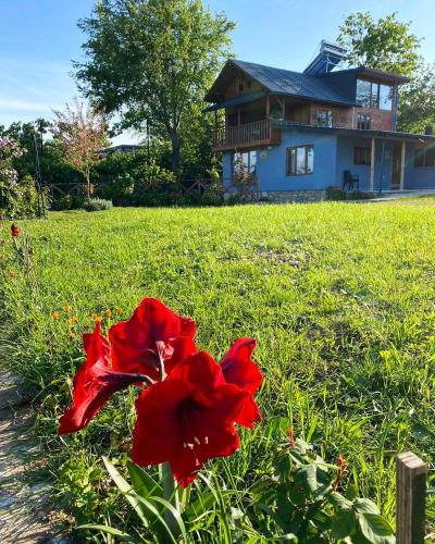 Fatsa Villa | Isabella Kırsal Yaşam Evi