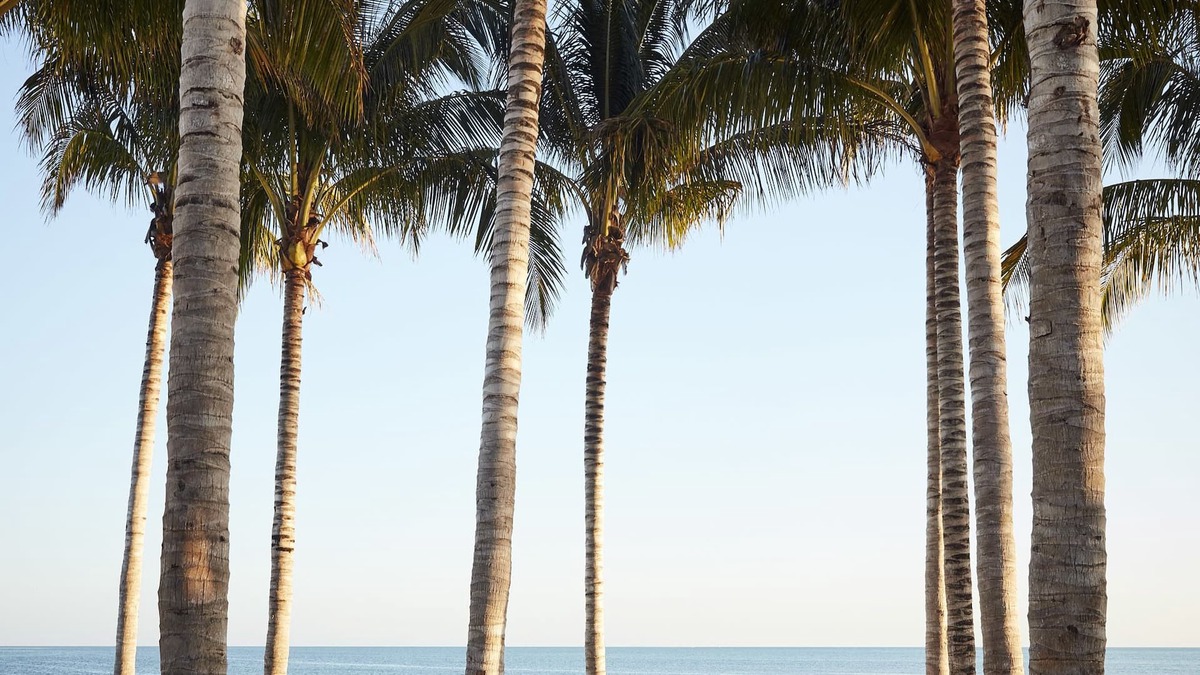Marathon Hotel | Isla Bella Beach Resort & Spa