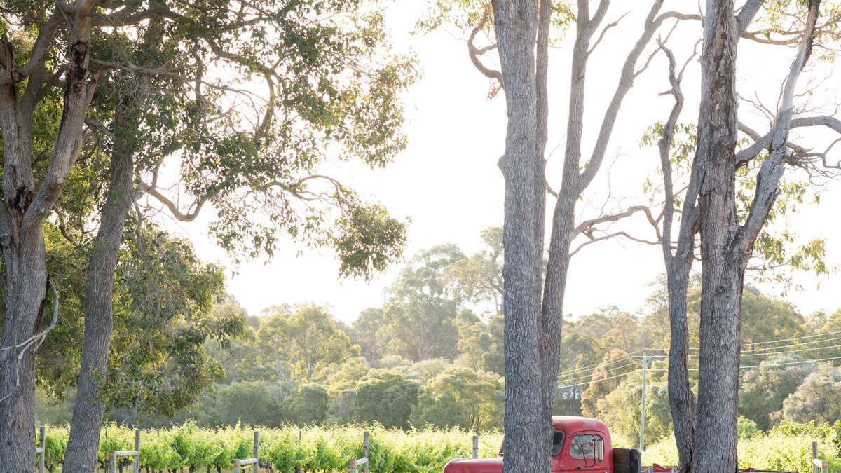 Yelverton Cabin | Island Brook Cabernet Chalet- Exclusive Escapes. Rural vineyard chalet in Margaret River
