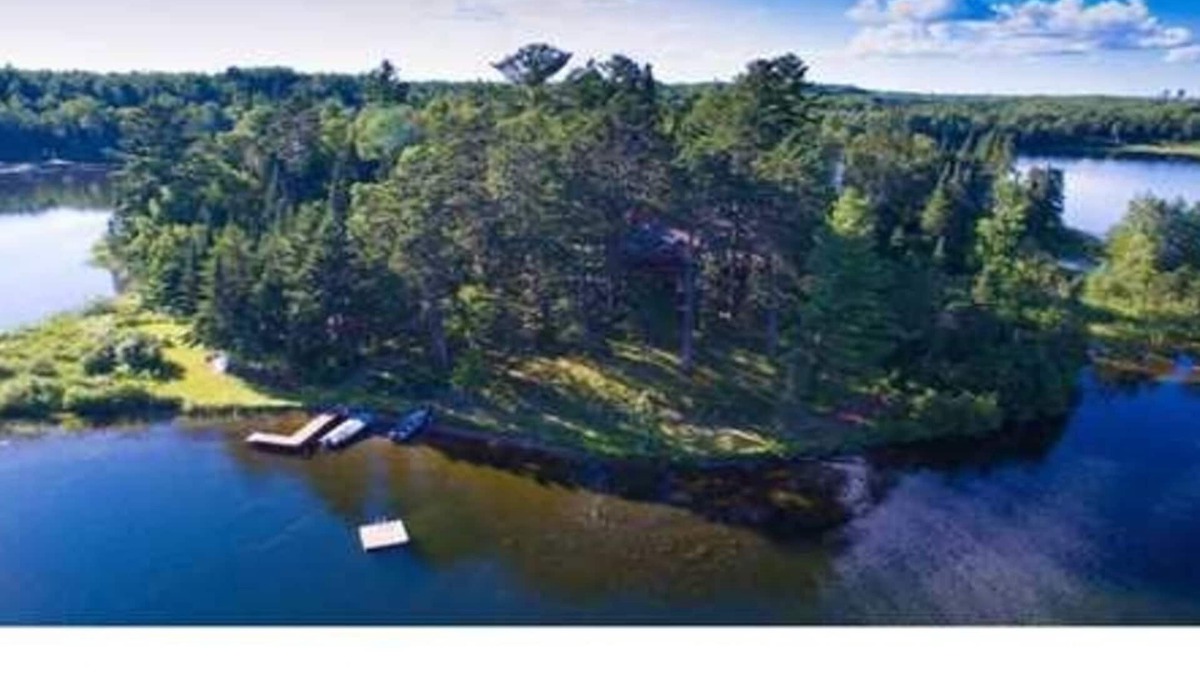Bigfork Cabin | Island Getaway Northern MN Towering Pine Forest